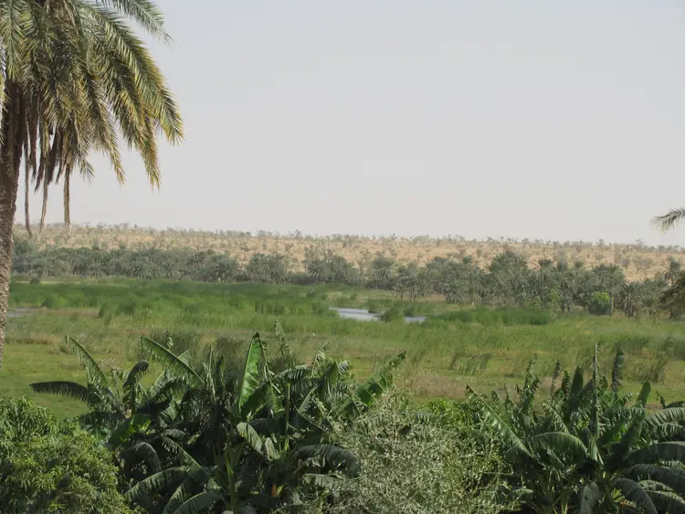 ngor (faransa: vallée; ingilisingilisi: valley)