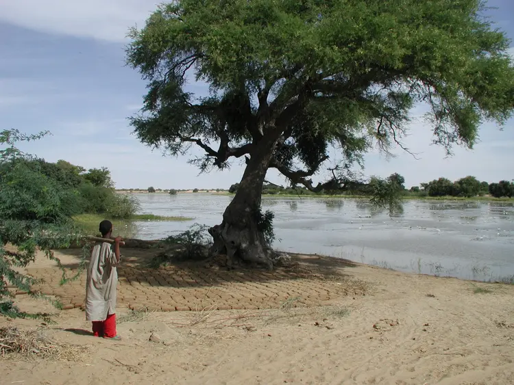 Kǝmǝduwu (faransa: Komadougou Yobé; ingilisingilisi: Komadougou-Yobe river)